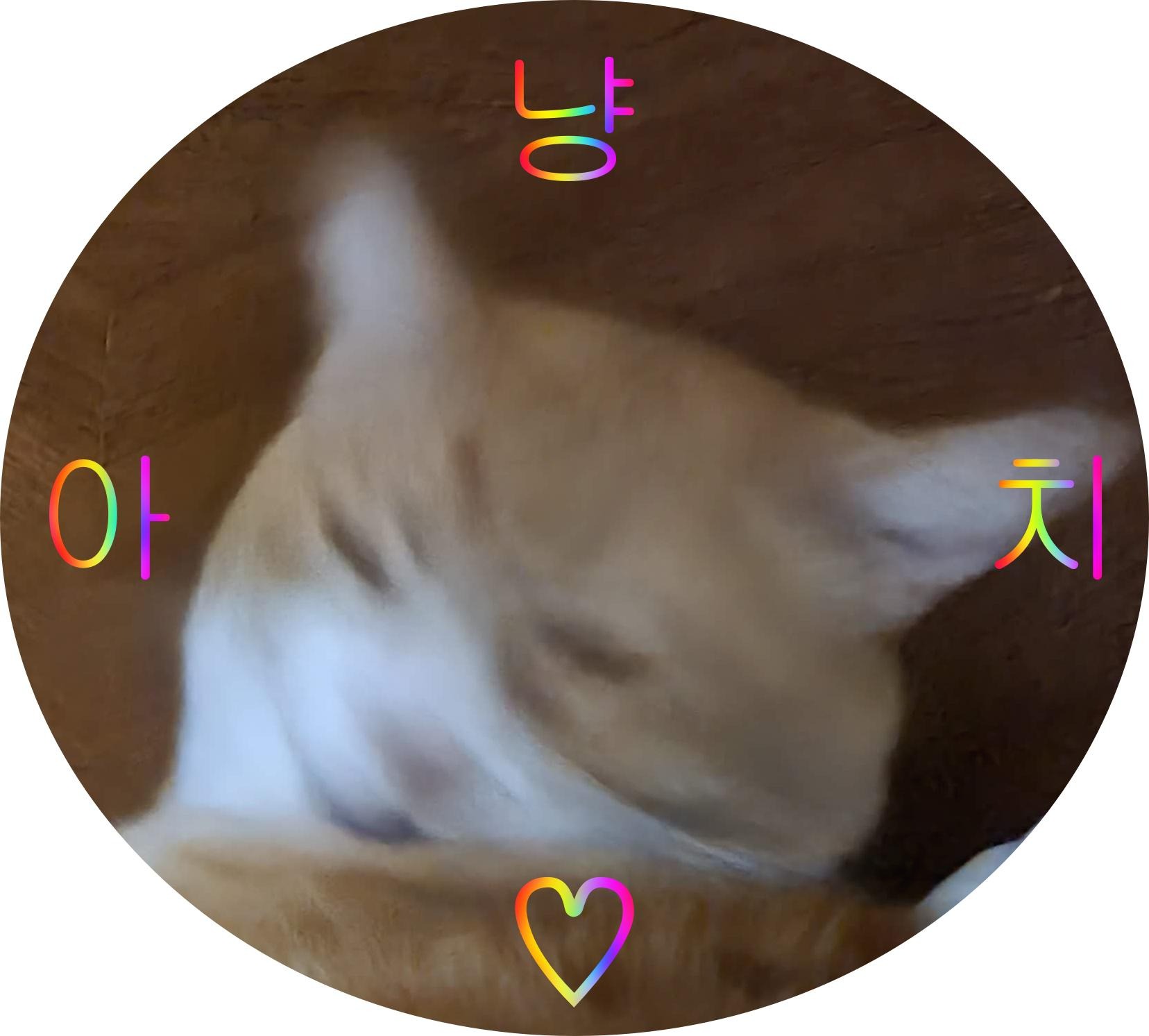 프로필사진