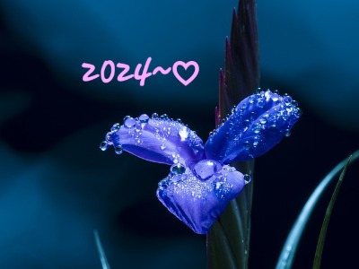 프로필사진