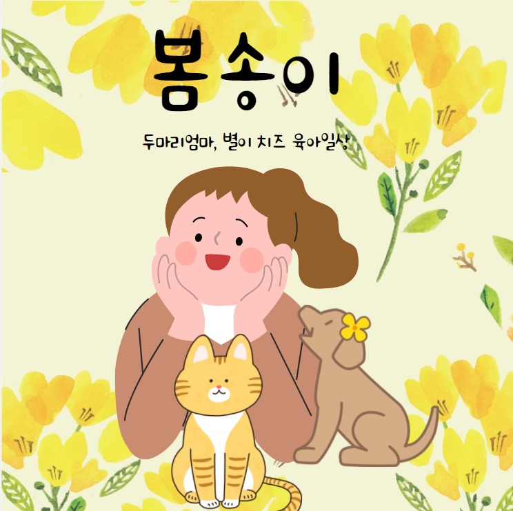 프로필사진