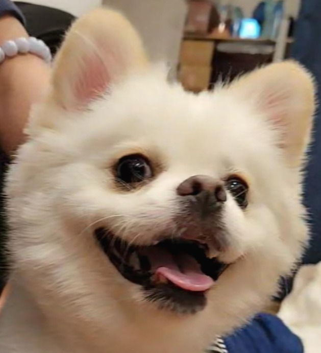 프로필사진