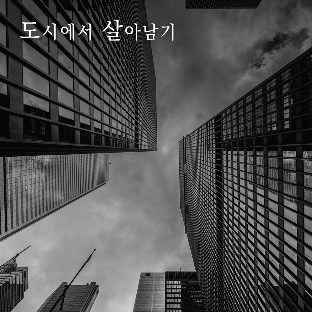 프로필사진