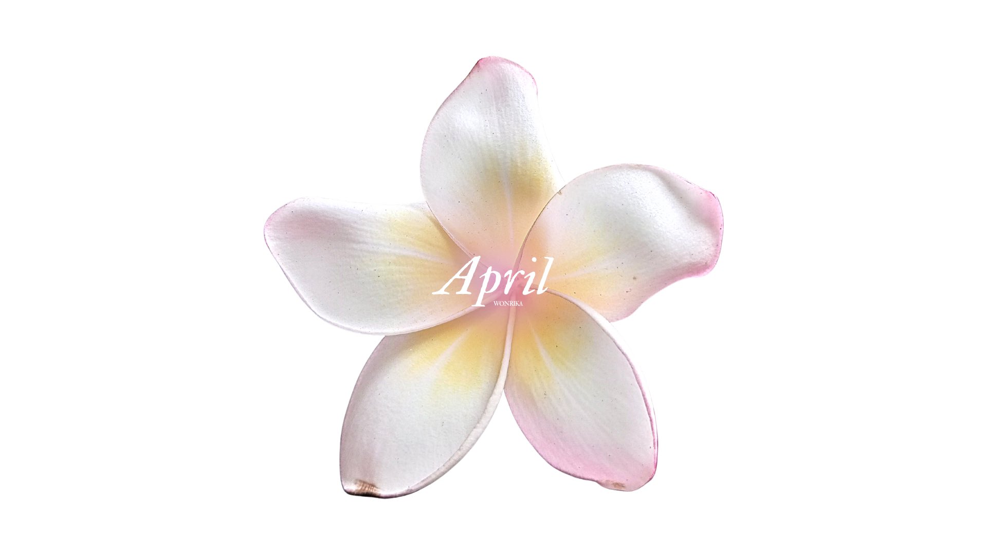 sidebar-img