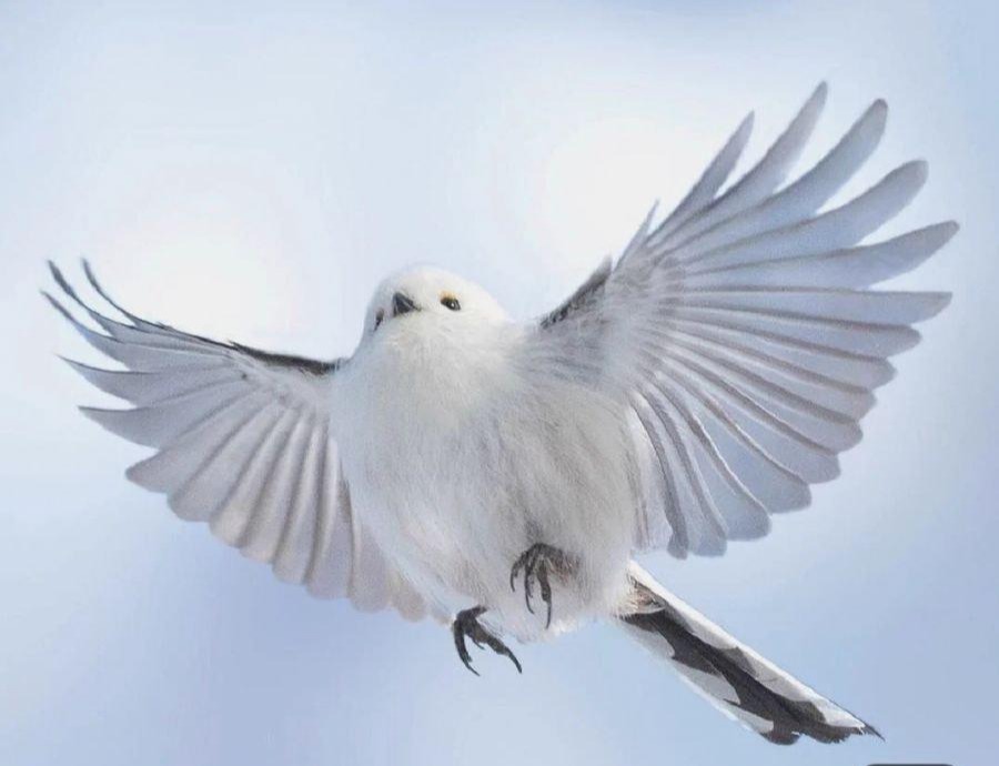 프로필사진