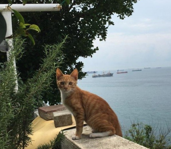 블로그 이미지