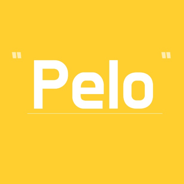 Tistory profile picture for @pelo