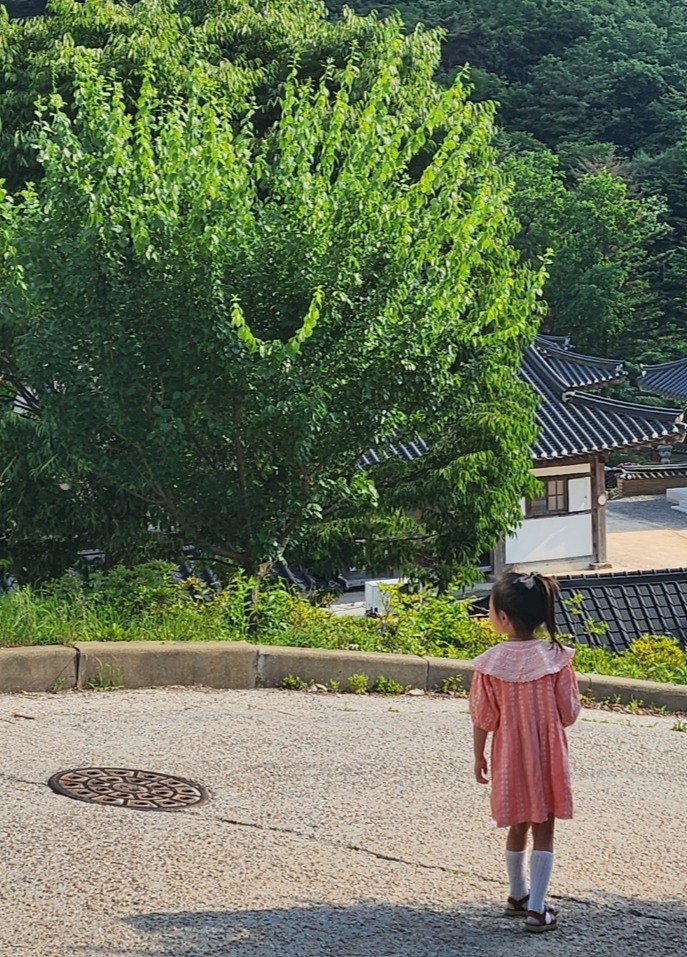 프로필사진