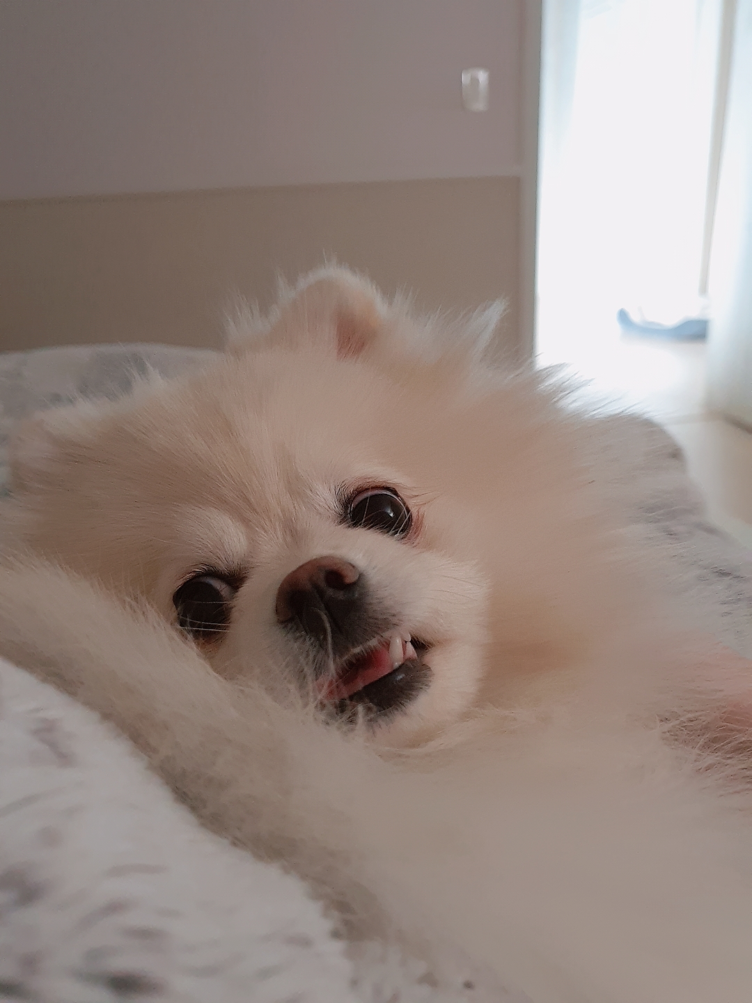 블로그 이미지
