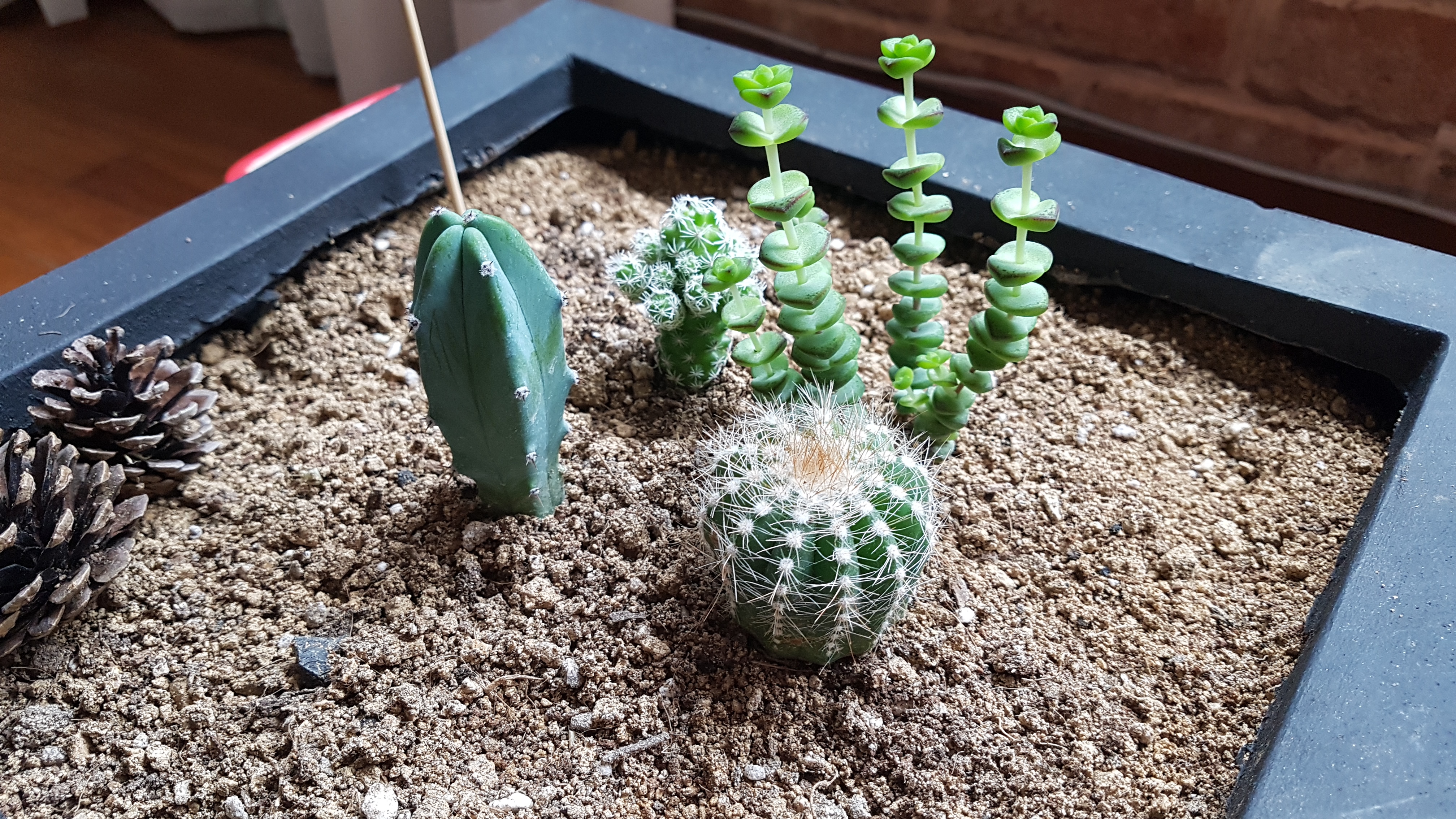 프로필사진