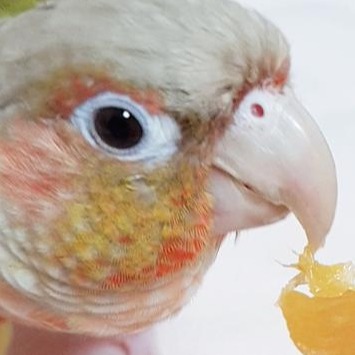 프로필사진