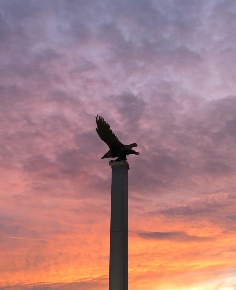 프로필사진