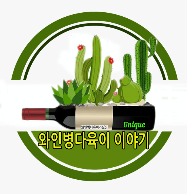 와인병다육이세상사는이야기