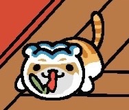 프로필사진