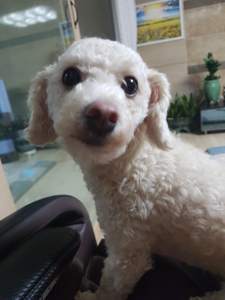 블로그 이미지