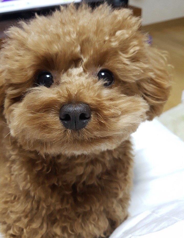 프로필사진