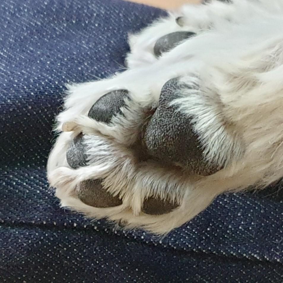 프로필사진