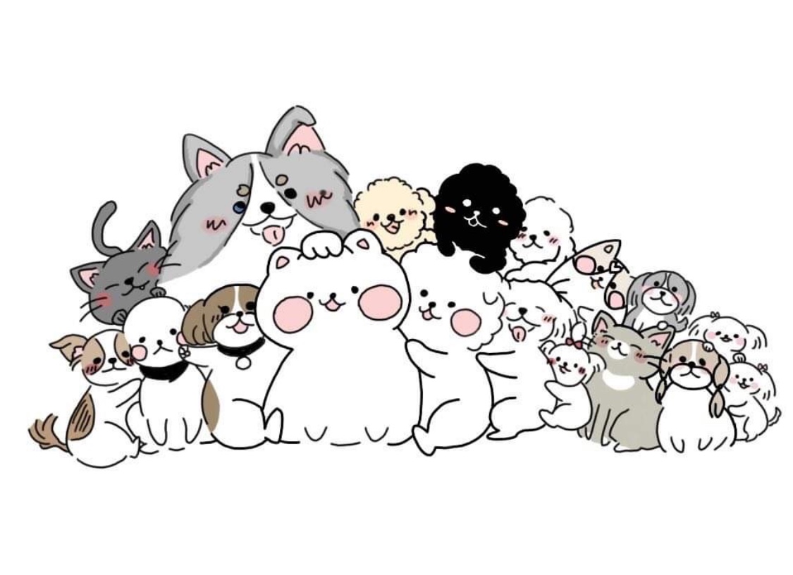 블로그 이미지