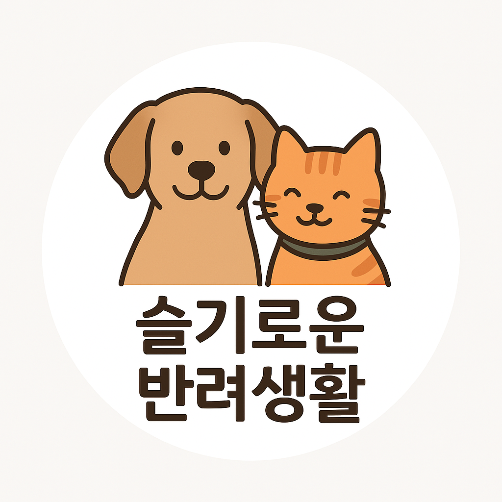 프로필사진