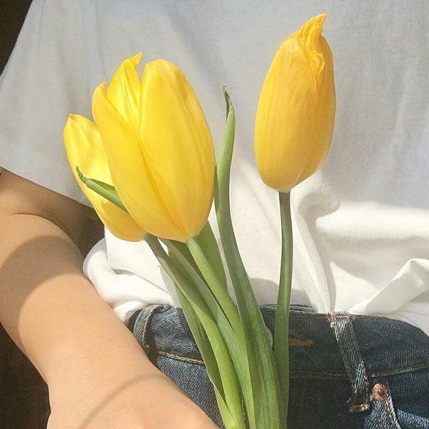 프로필사진