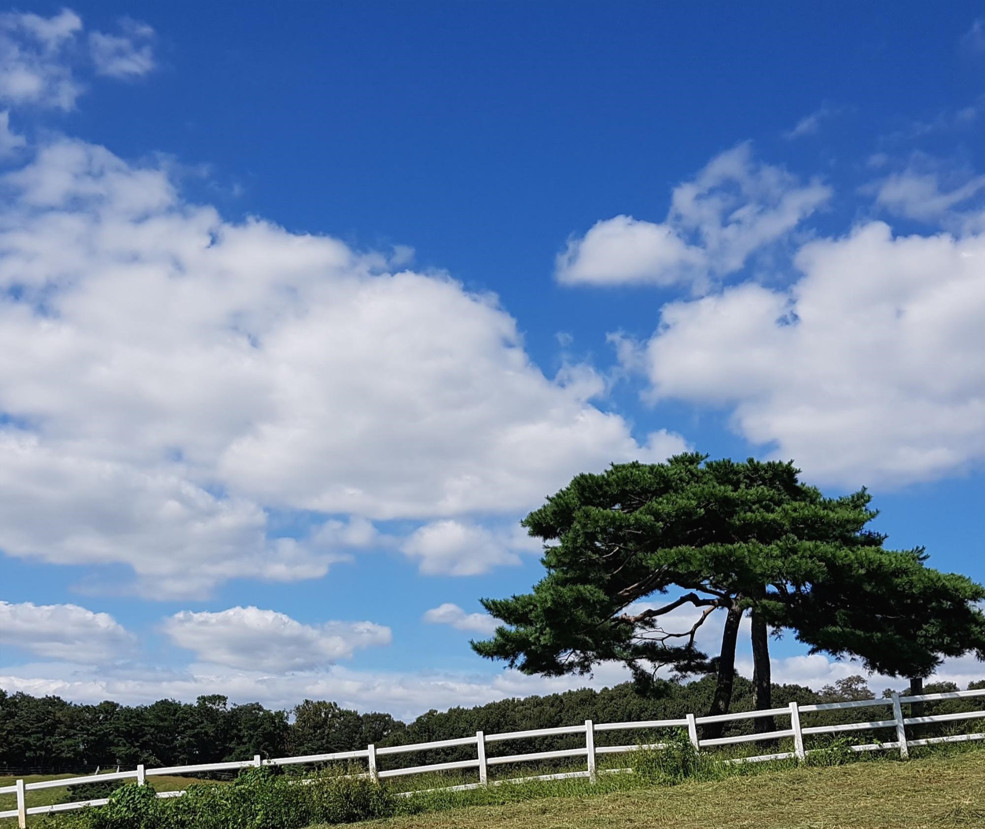 프로필사진