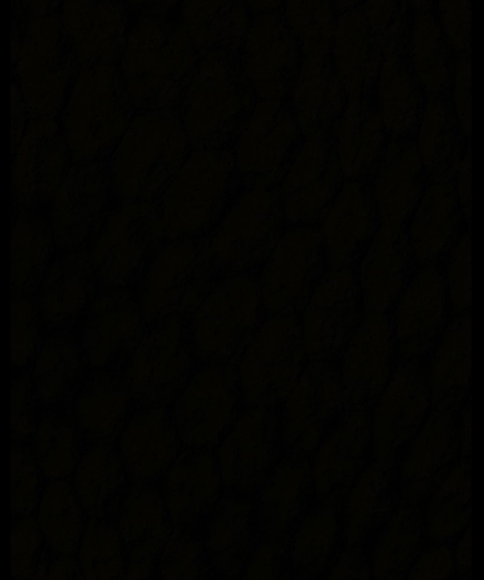 Tistory profile picture for @capitalists