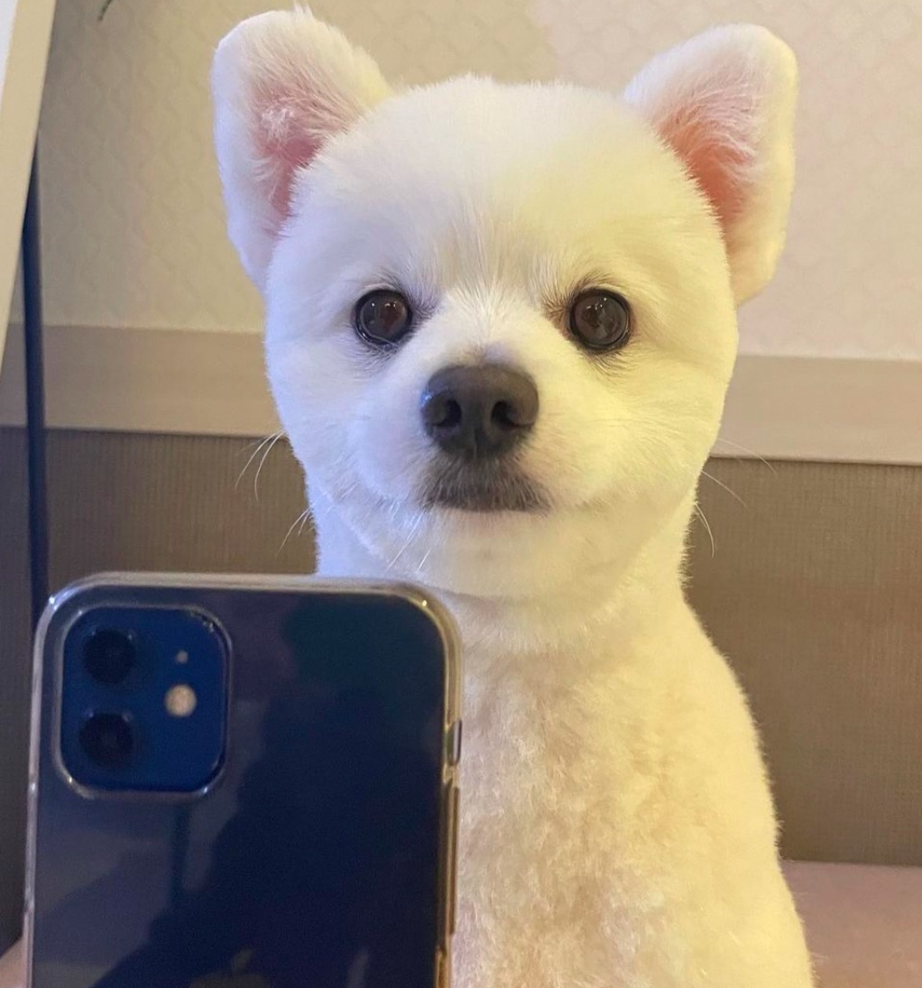 프로필사진
