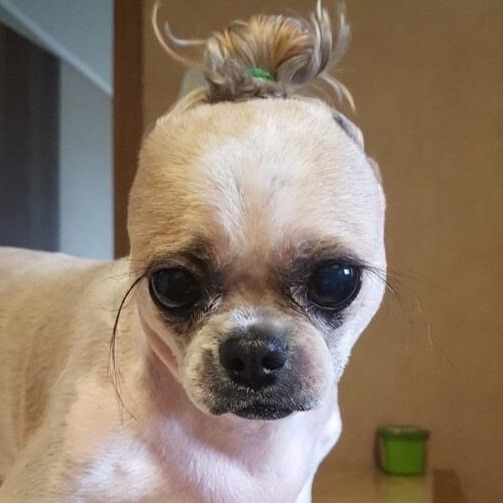 프로필사진