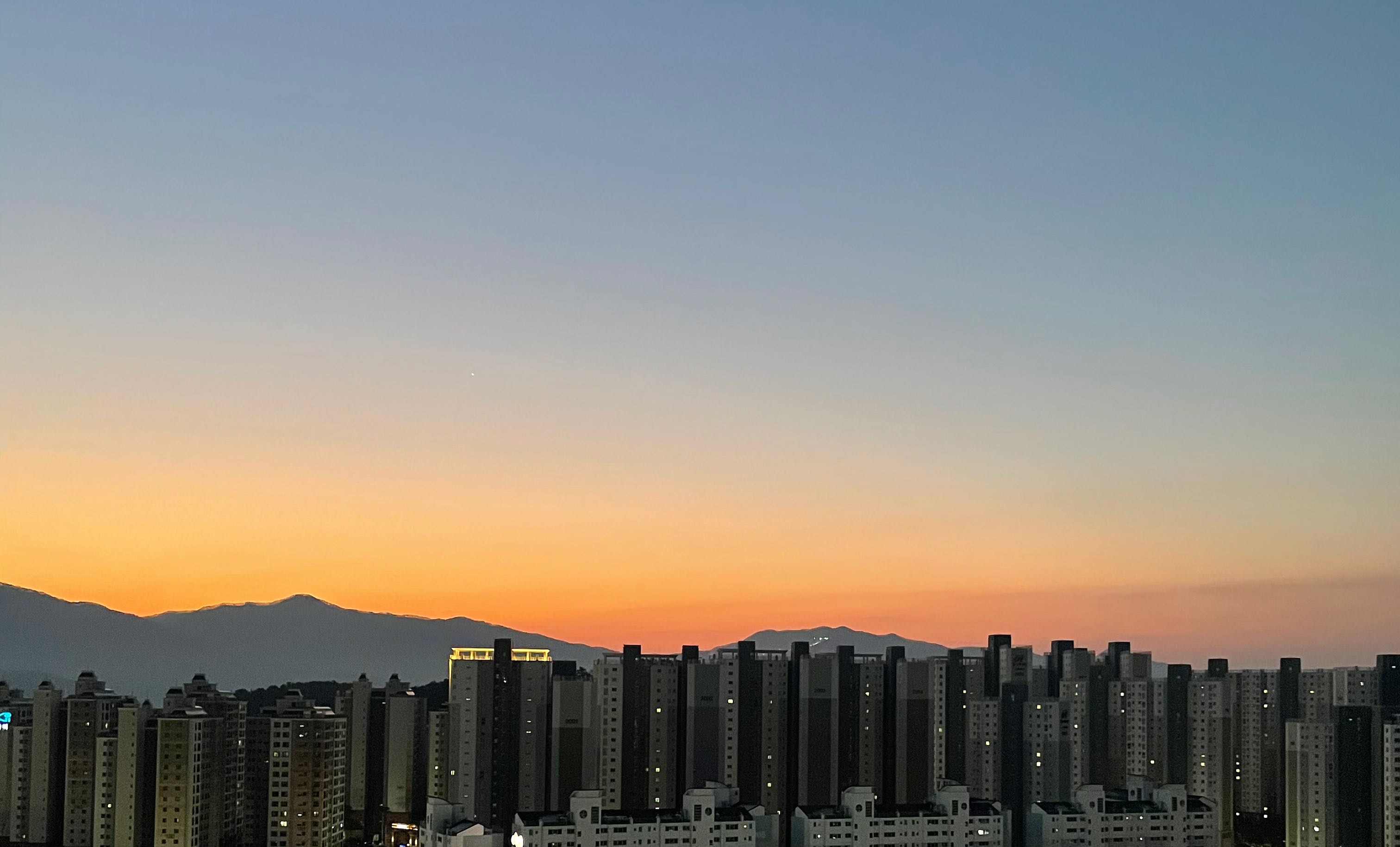 프로필사진