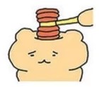 프로필사진