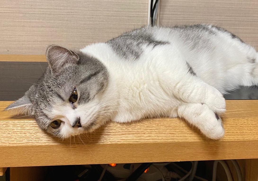 블로그 이미지