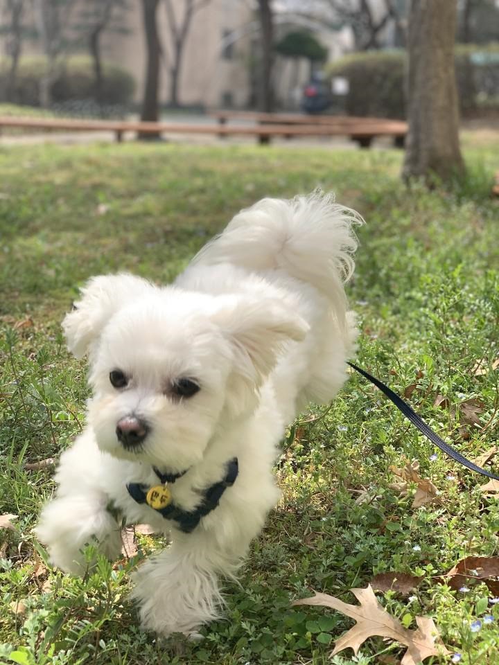 프로필사진