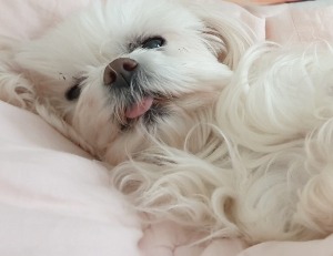 블로그 이미지