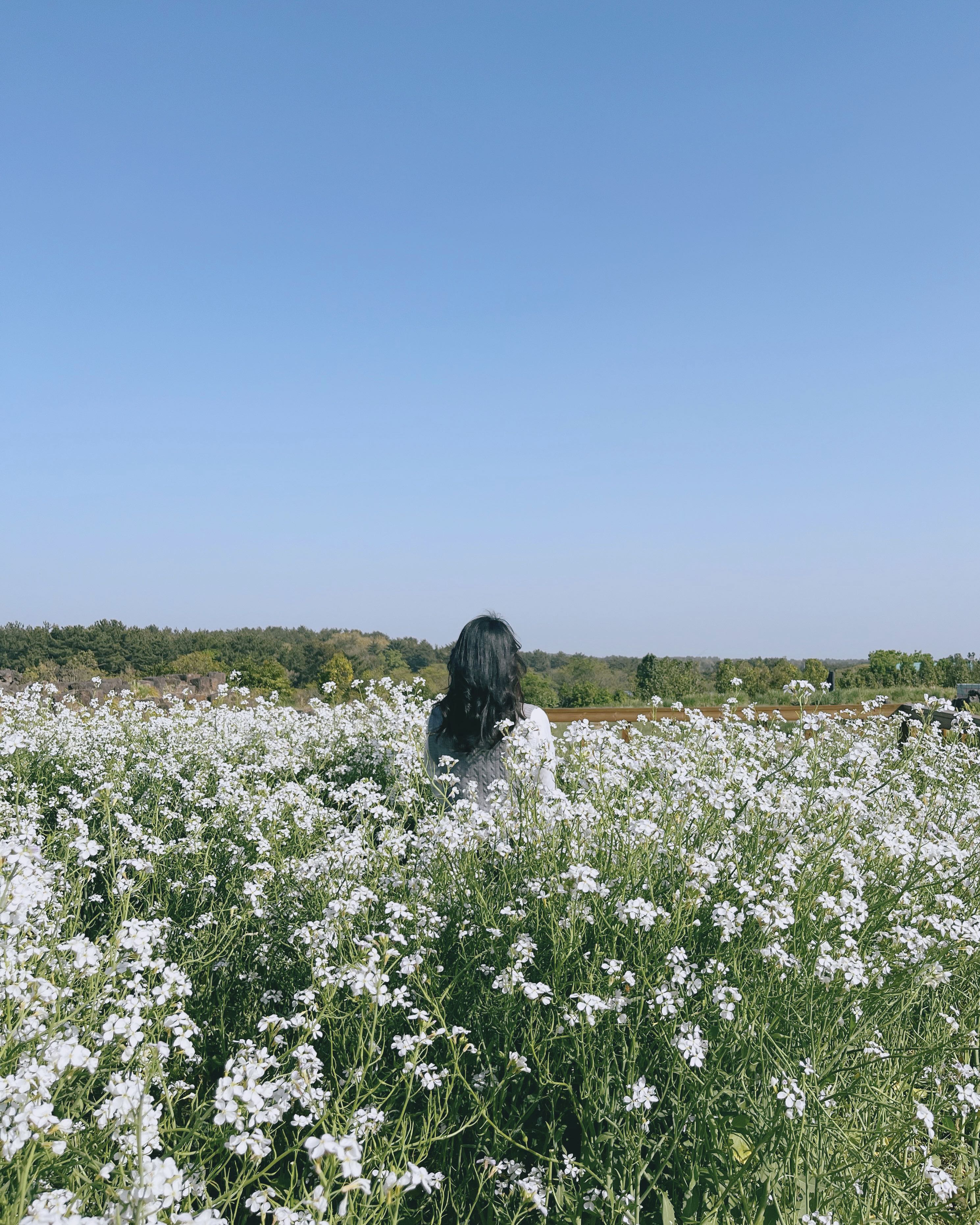 프로필사진