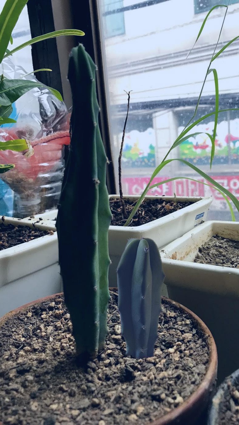 블로그 이미지
