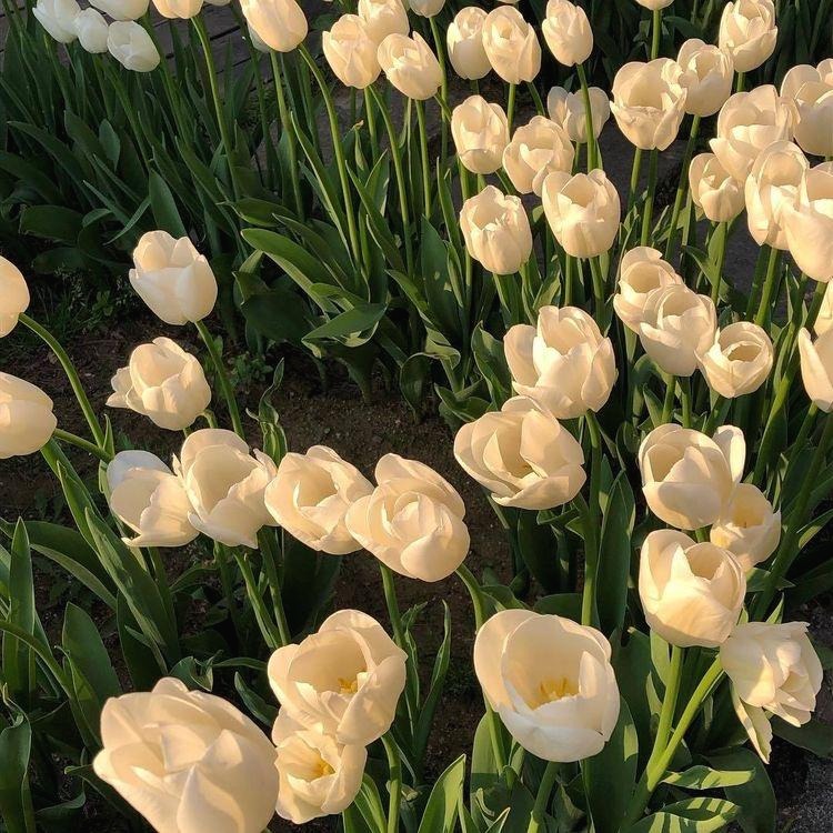 프로필사진