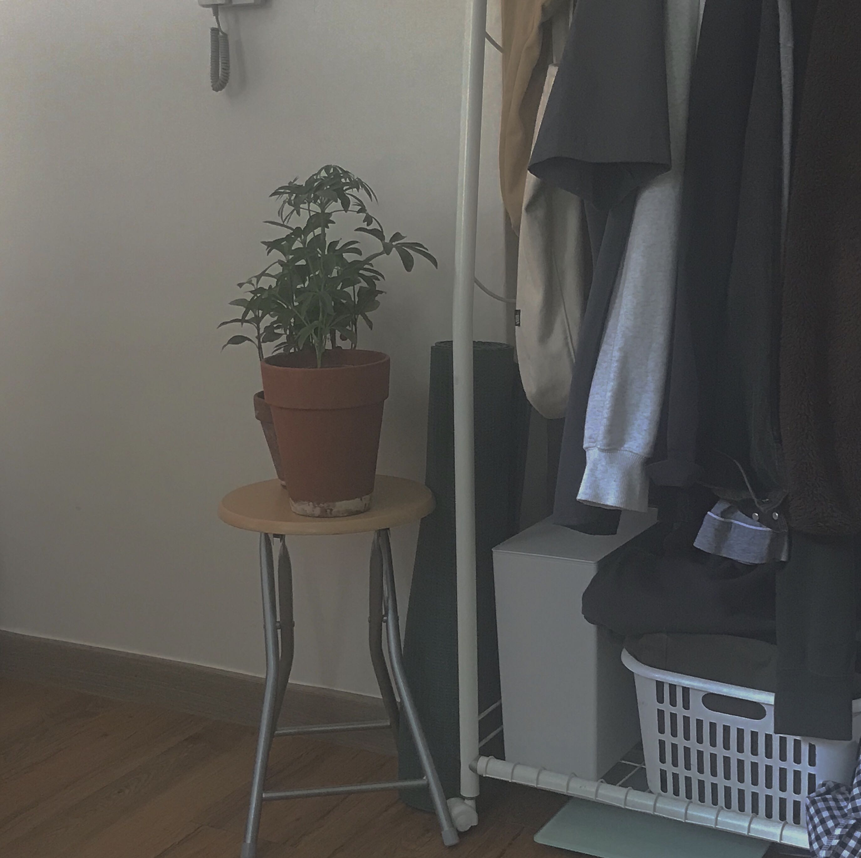 프로필사진