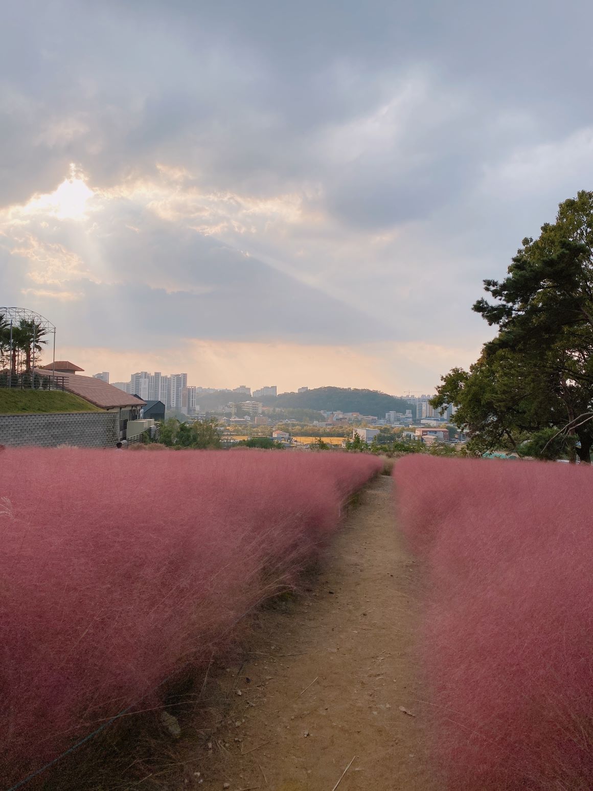 프로필사진