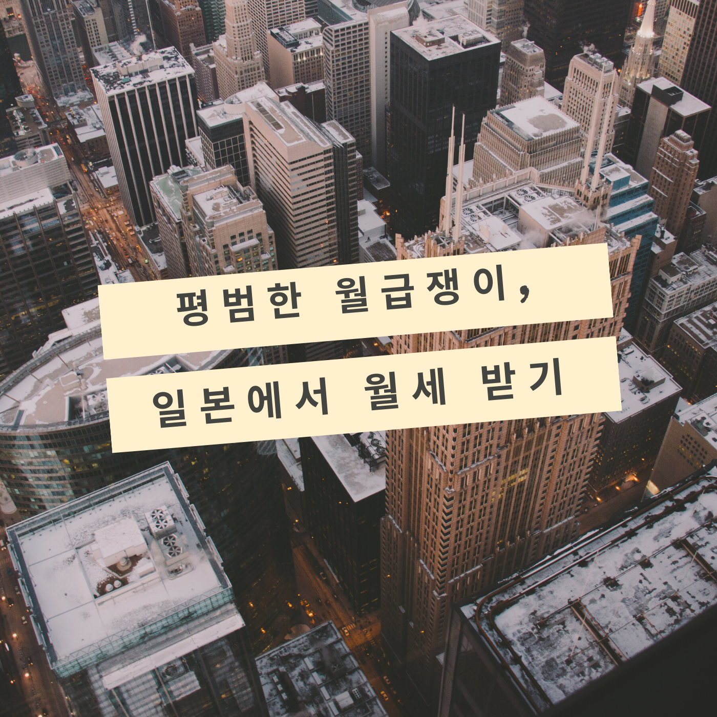 블로그 이미지