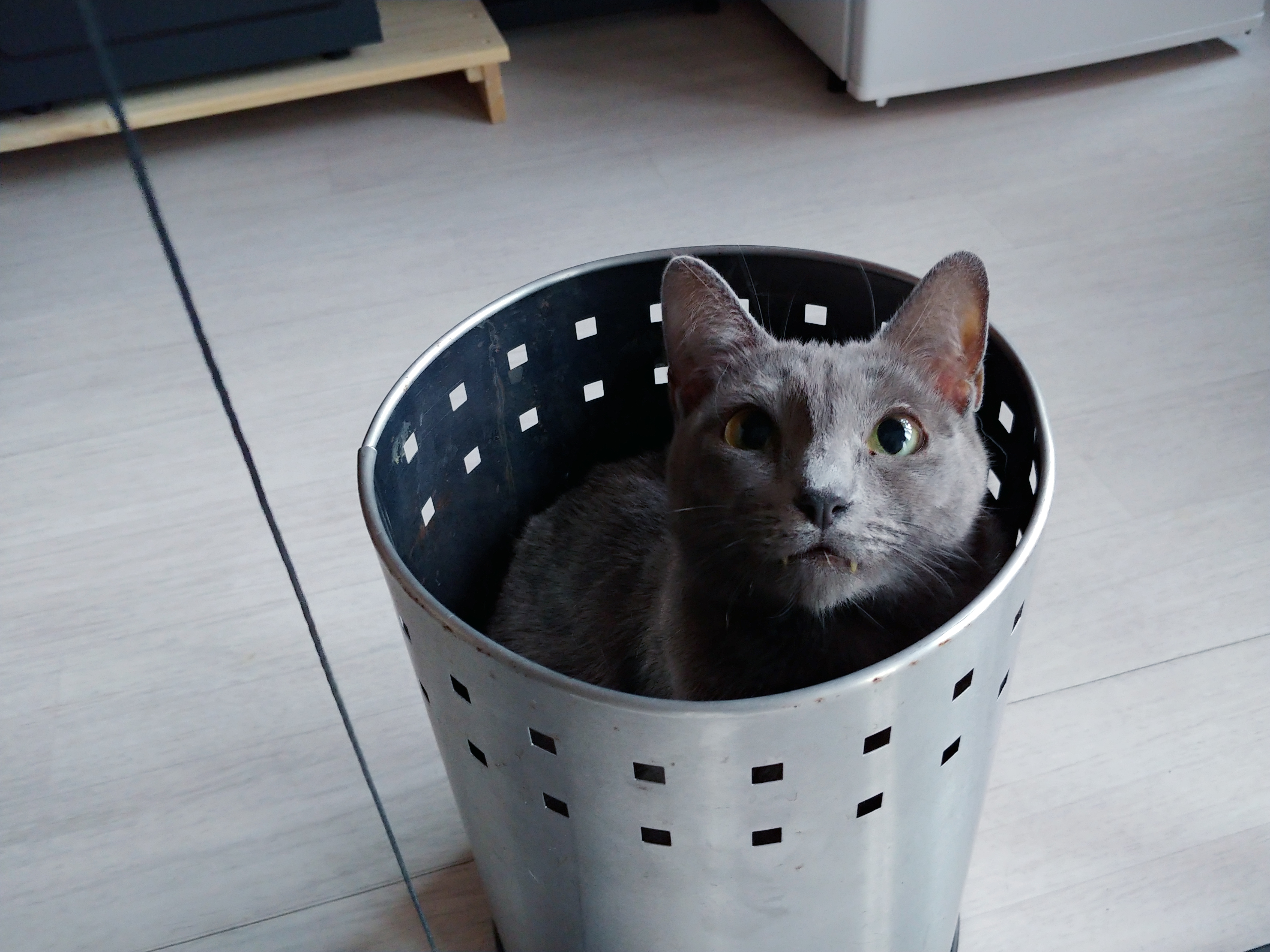 블로그 이미지