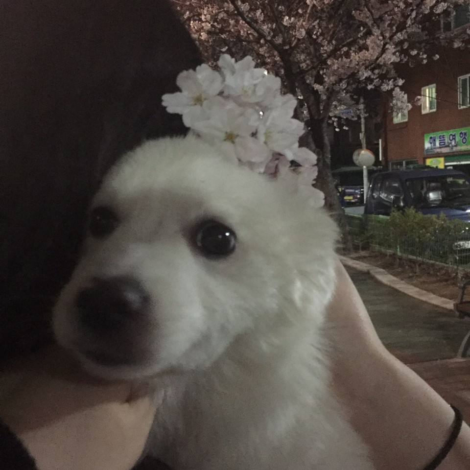 블로그 이미지
