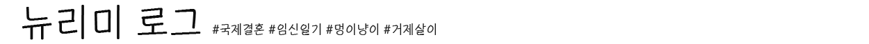 뉴리미로그