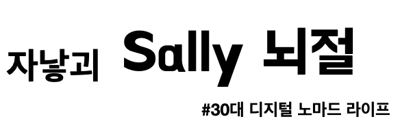 sally의 뇌절