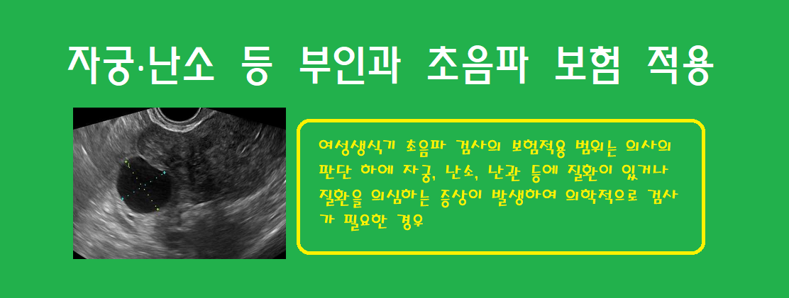 자궁.난소등 부인과 초음파 보험적용