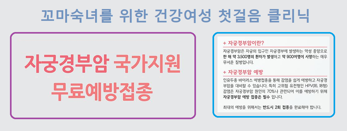 자궁경부암 국가지원 무료예방접종