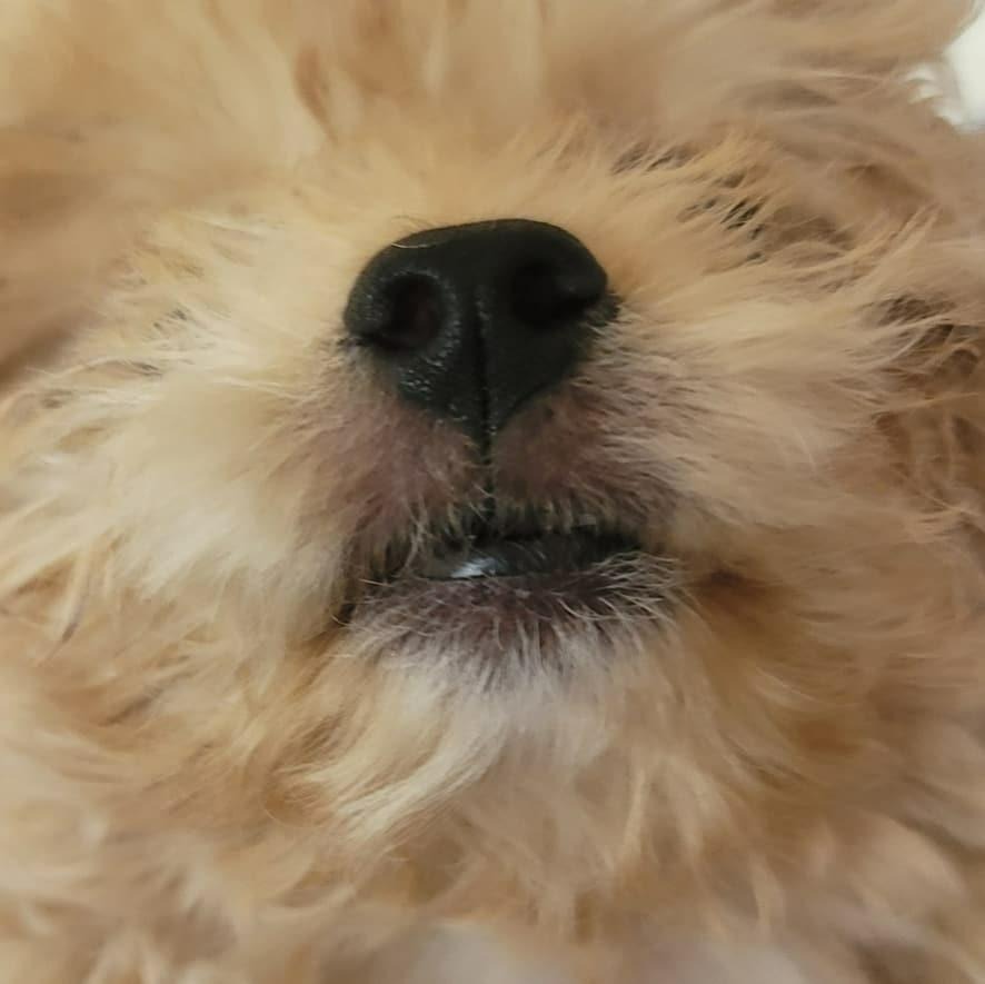 프로필사진