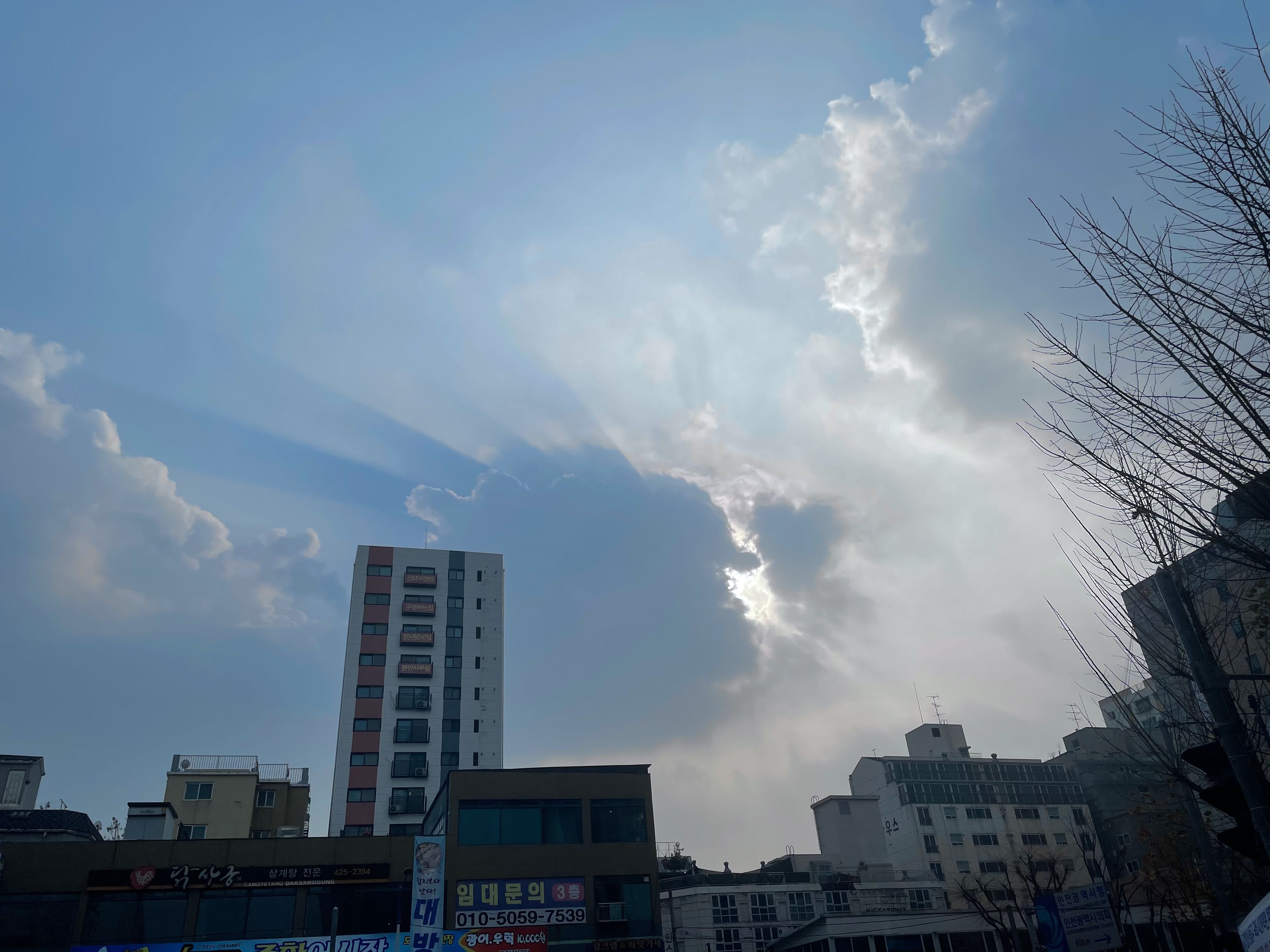 블로그 이미지