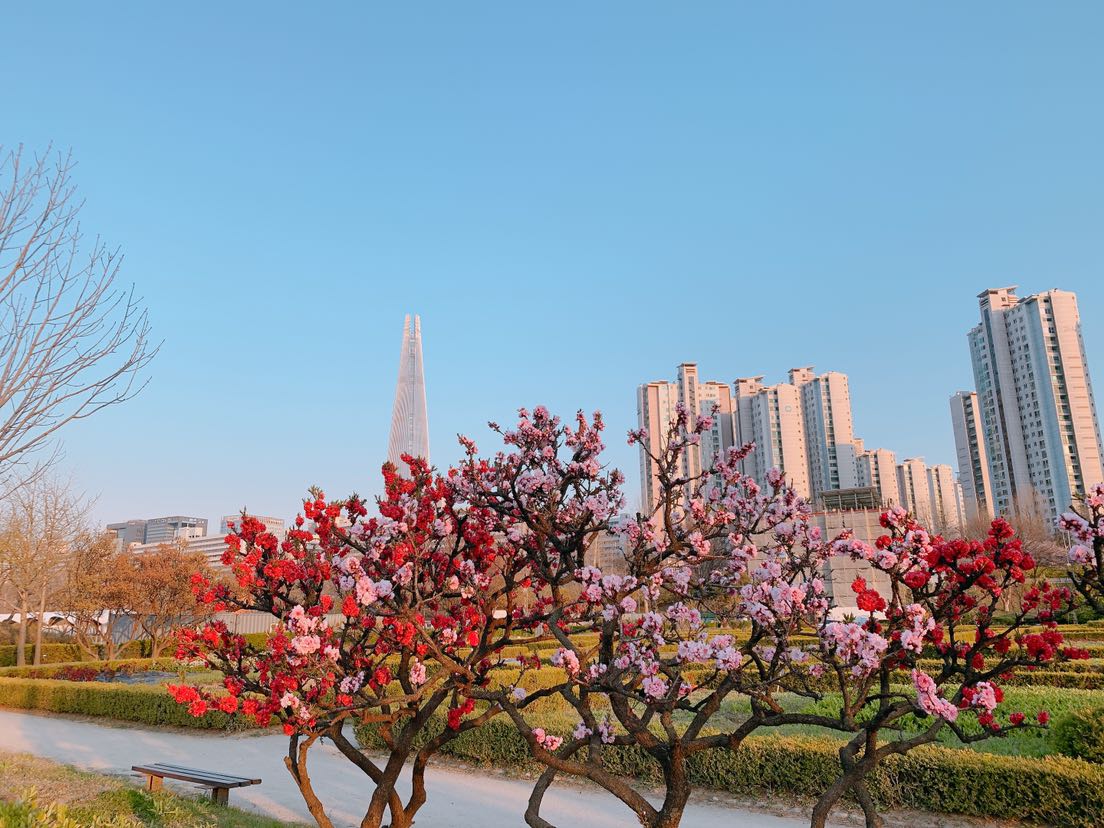 블로그 이미지