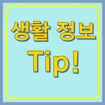 프로필사진