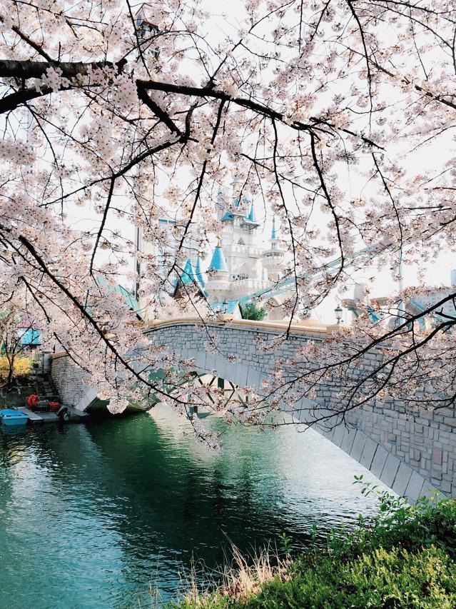프로필사진