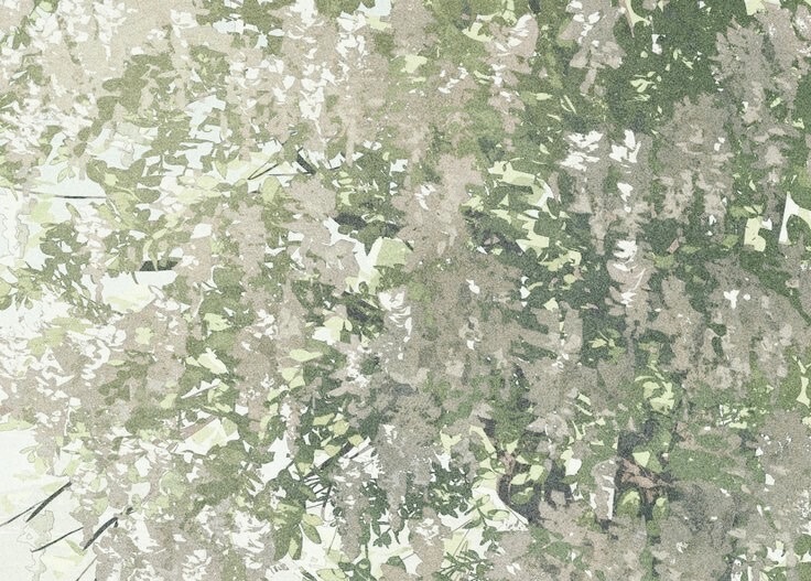 cover-img