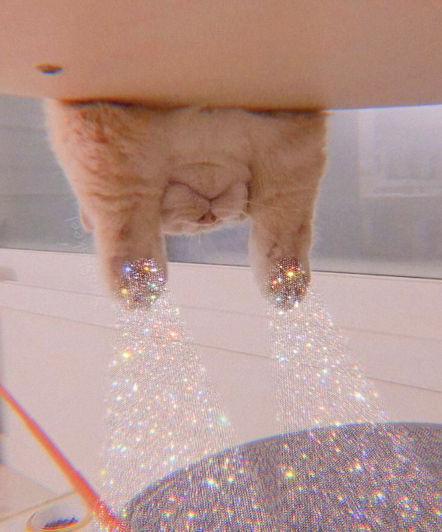 프로필사진